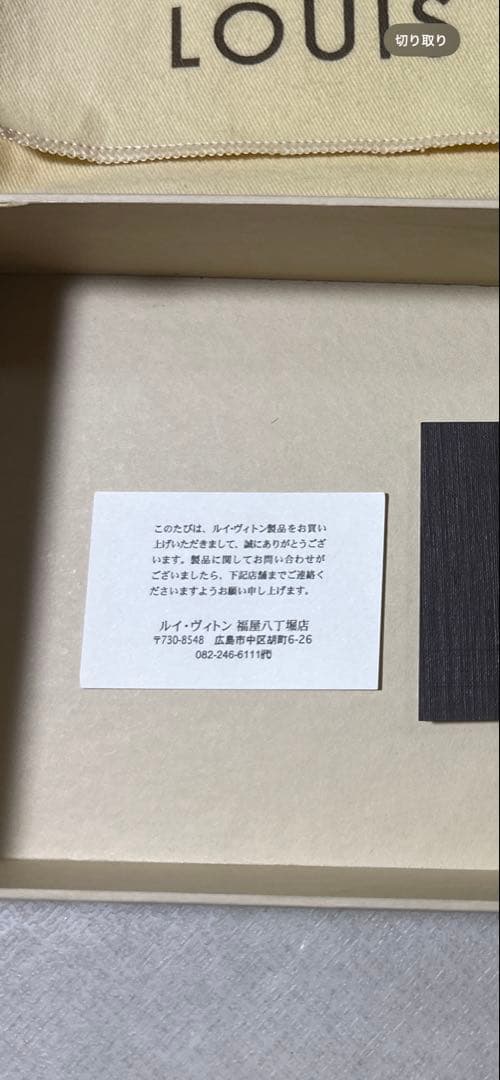 LOUIS VUITTON ルイヴィトン クラッチ・アメリア M58124