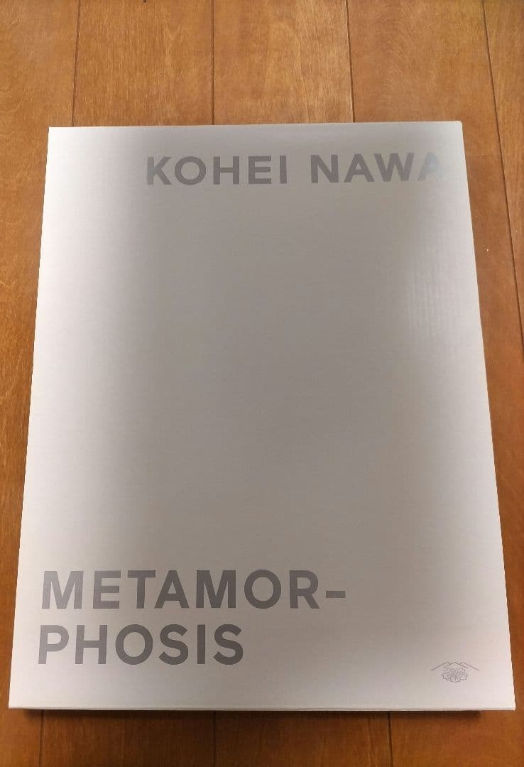 名和晃平 KOHEI NAWA MORPHOSIS