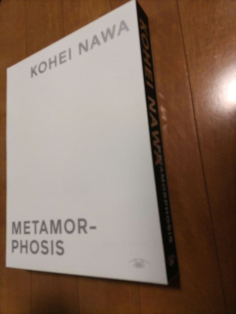 名和晃平 KOHEI NAWA MORPHOSIS