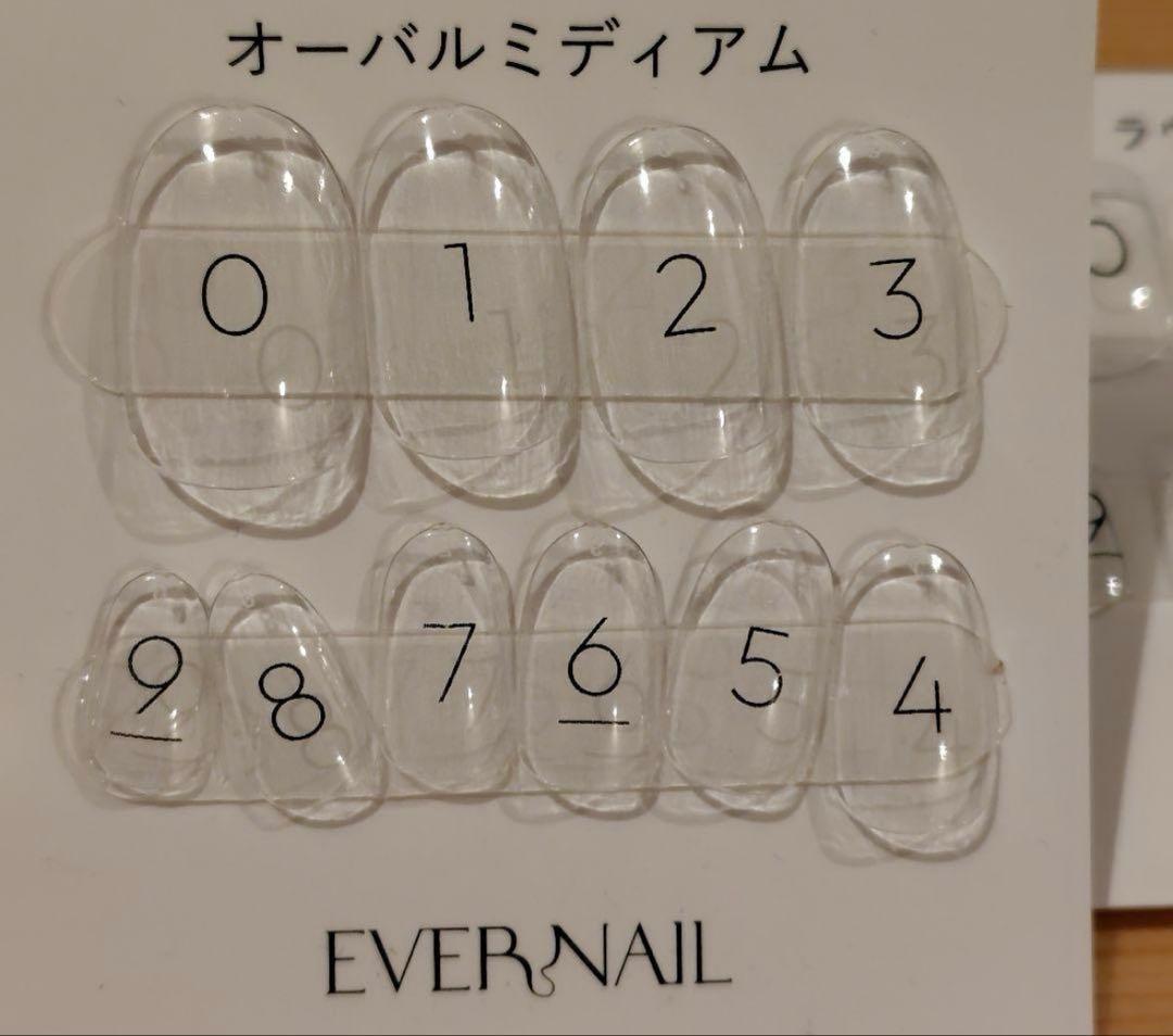 EVER NAIL ネイルチップ＆専用接着剤＆サイズ確認チップ エバーネイル