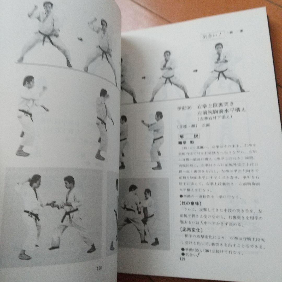 浅井哲彦 実技 空手道 選定形 空手 松濤館 拳法 武術 護身術