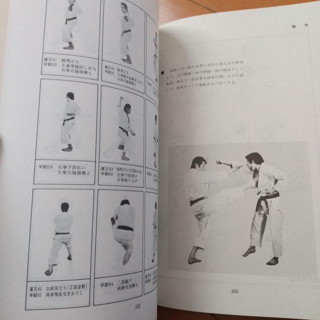 浅井哲彦 実技 空手道 選定形 空手 松濤館 拳法 武術 護身術