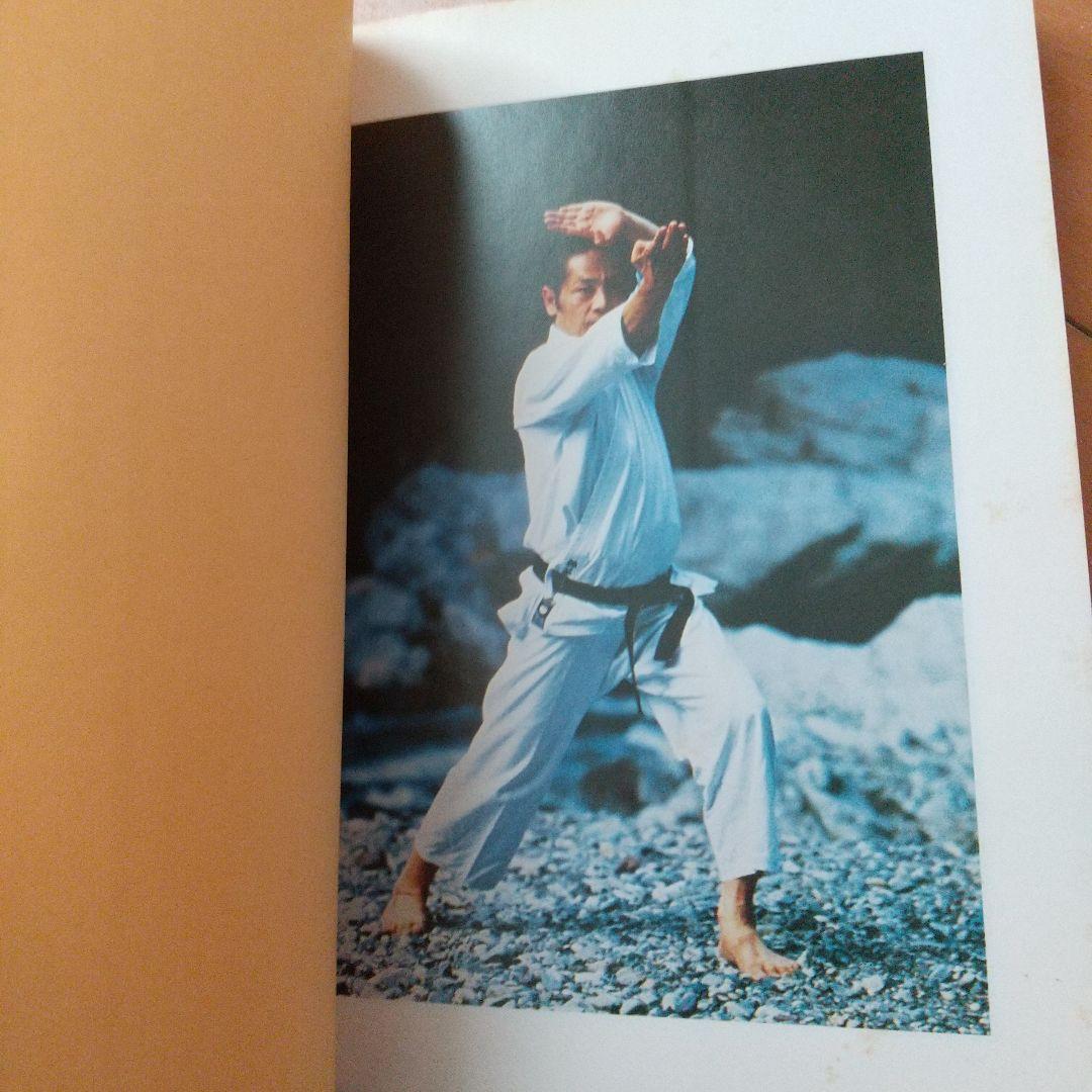 浅井哲彦 実技 空手道 選定形 空手 松濤館 拳法 武術 護身術