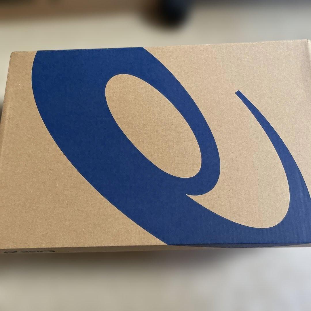 アシックス　ランニングシューズ　EVORIDE SPEED3 #1041