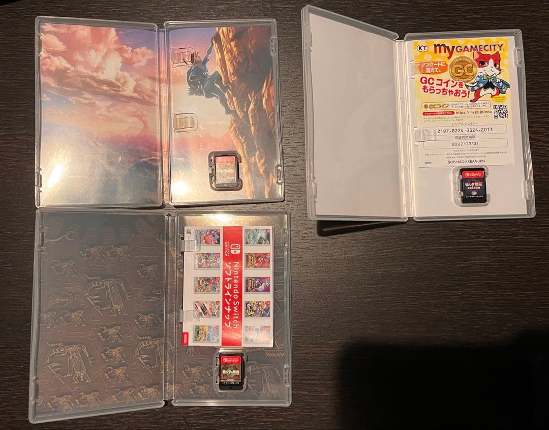 ゼルダの伝説ブレスオブザワイルド ティアーズオブザキングダム ゼルダ無双