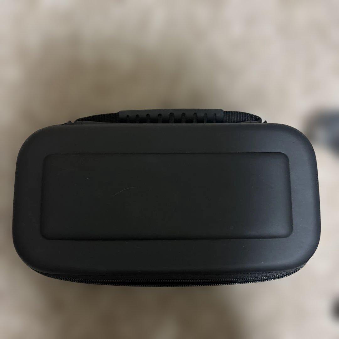 Nintendo Switch Lite グレー 本体と充電器、ケース付き