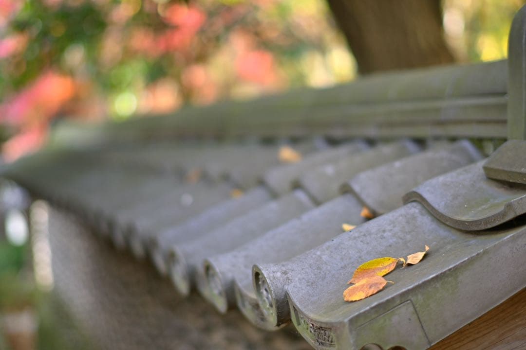 TTArtisan 50mm f/1.2 C [ニコンZ用]