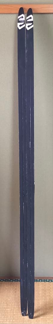 Salomon スケーティング　182 (#10)