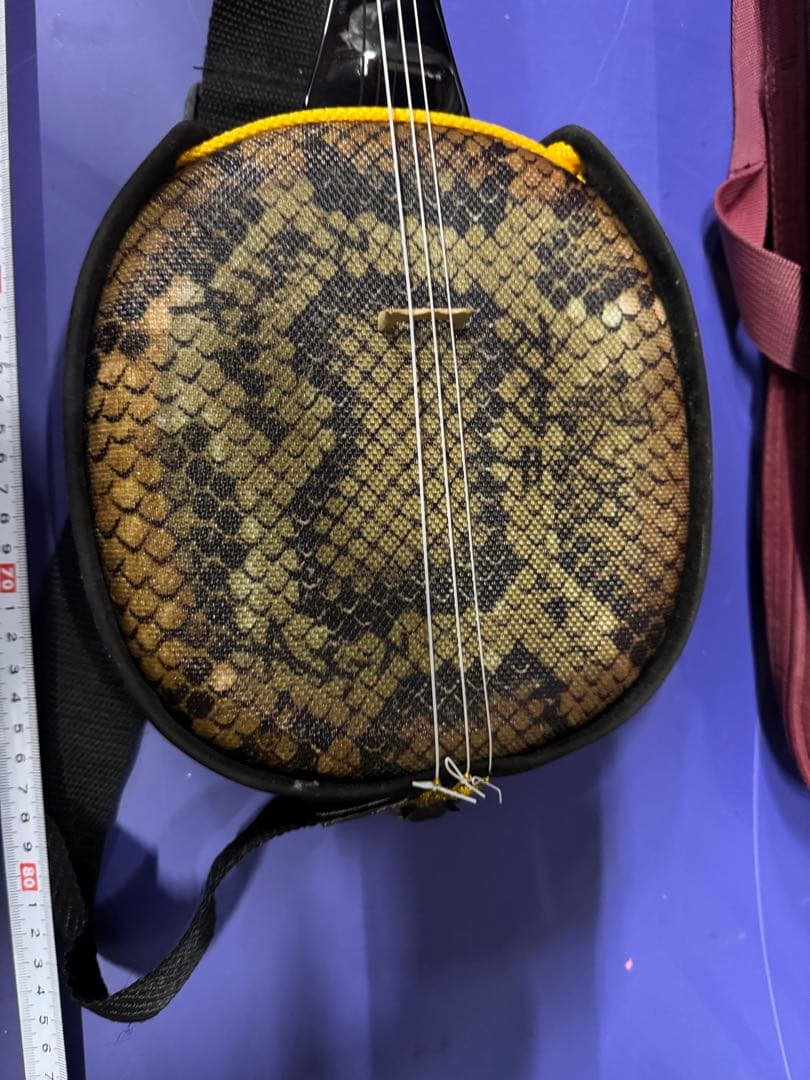 琉球 沖縄 三線 専用ケース 蛇皮柄