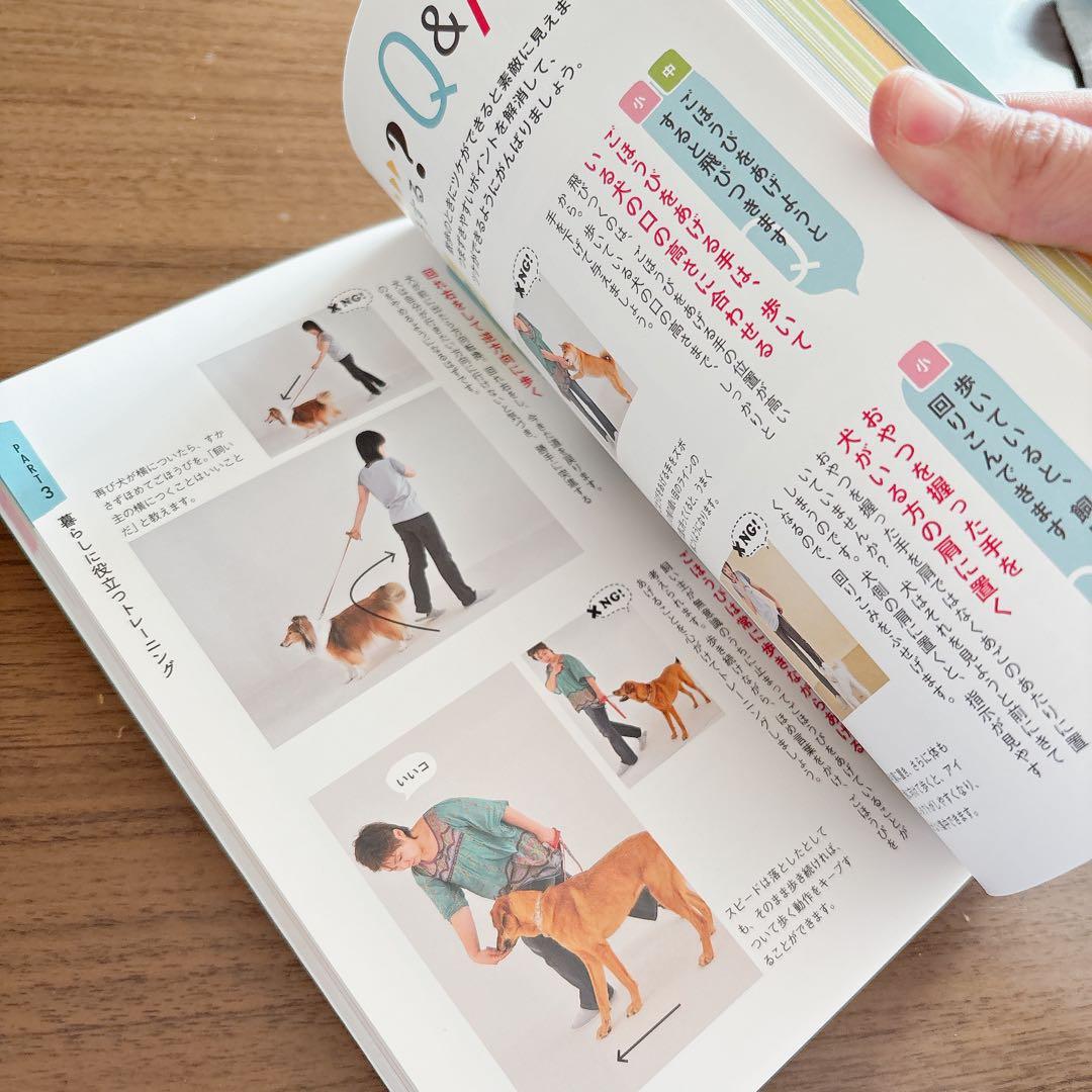 犬のしつけ&ハッピートレーニング