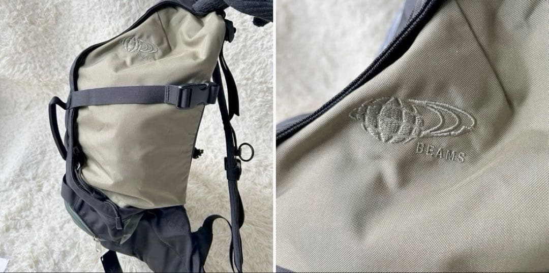 【希少廃盤品】ARC'TERYX beams Sebring リュック 大容量