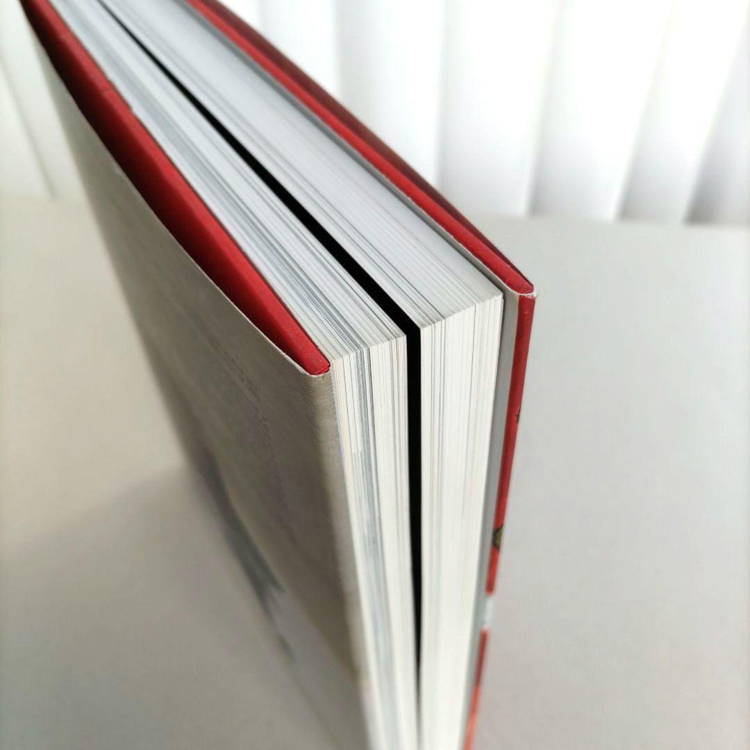 PALADINO/ミンモ・パラディーノ 作品集 アート 絵画 彫刻 洋書