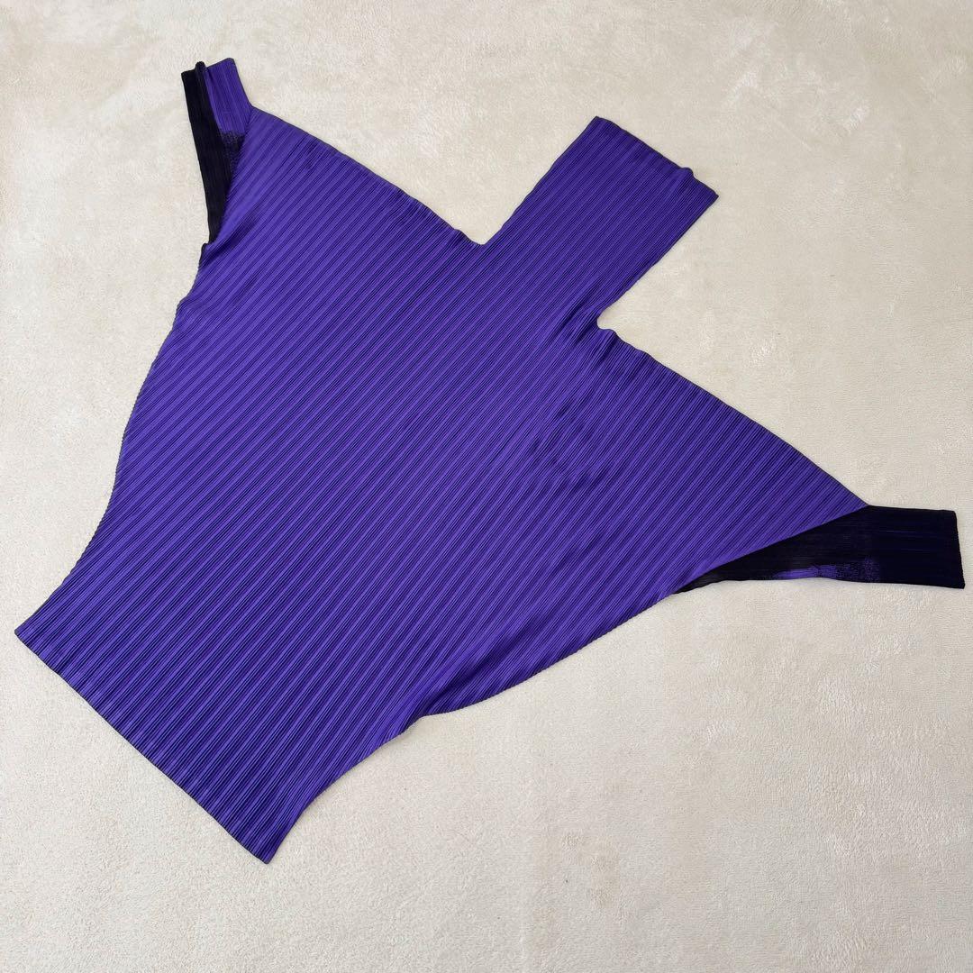 極美品✨PLEATS PLEASE 変形　グラデーション　長袖　ハイネック