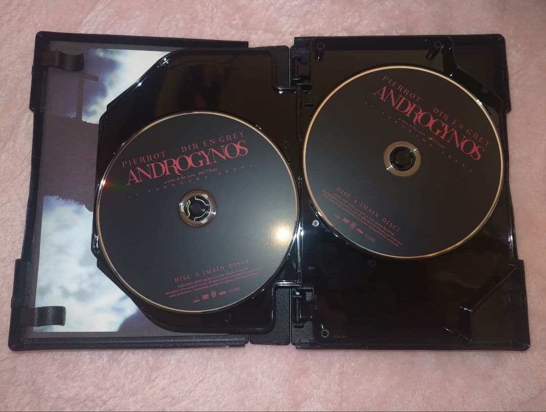 ARCHE！廃盤【ANDROGYNOS豪華版DVD】