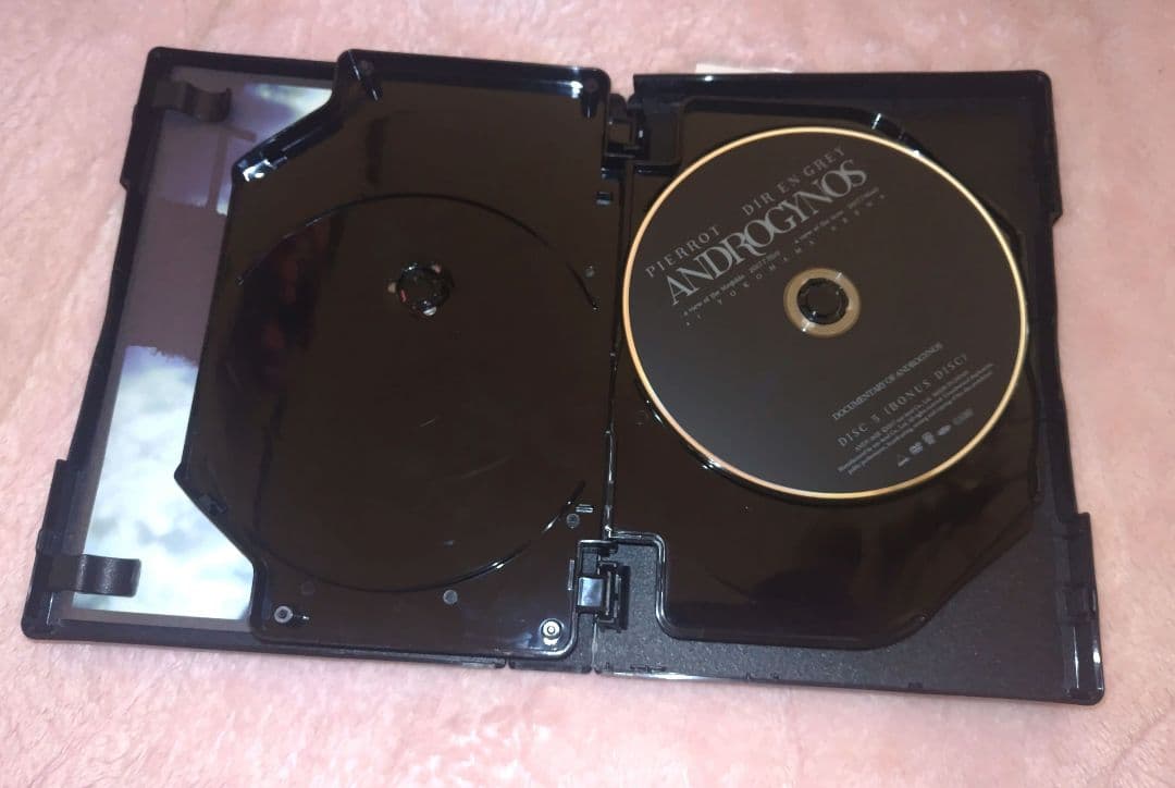 ARCHE！廃盤【ANDROGYNOS豪華版DVD】