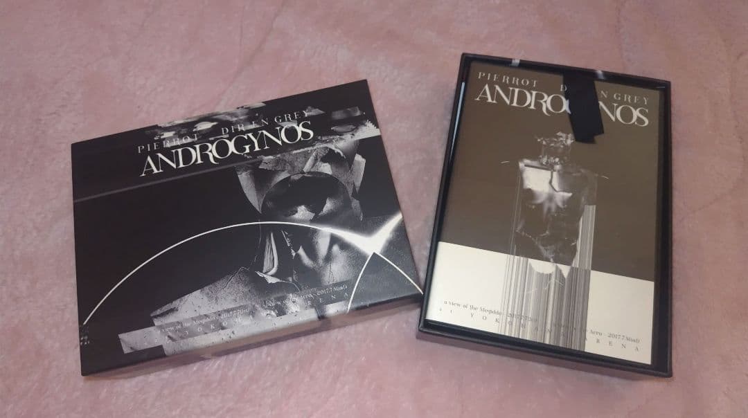 ARCHE！廃盤【ANDROGYNOS豪華版DVD】