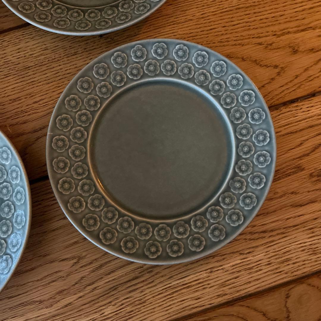 クイストゴー　デイジー　プレート4枚セット