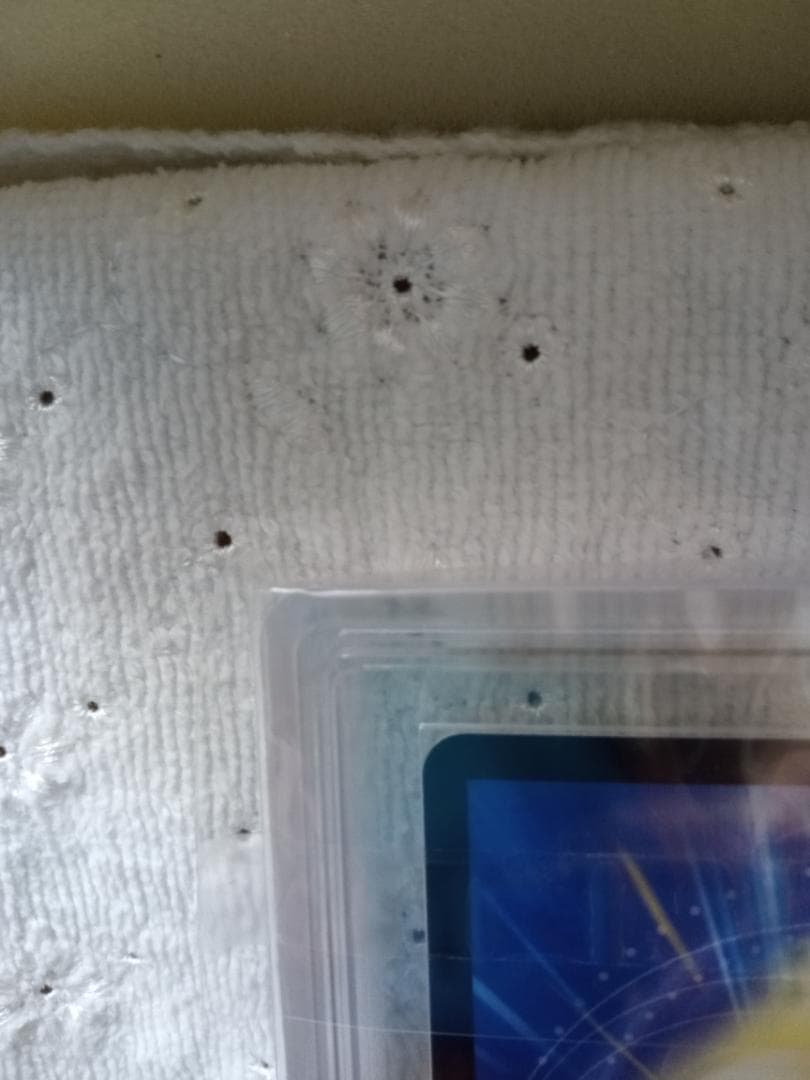 支配の精霊ペルフェクト 　金トレジャー　デュエマ　ARS9