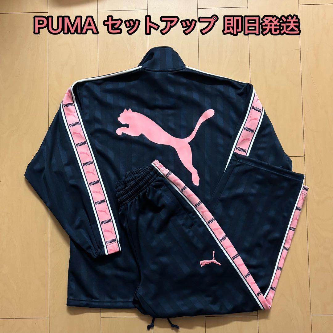 セットアップ PUMA プーマ 上下セット ネイビー ピンク XS 美品 総柄
