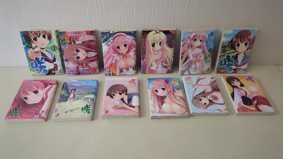 咲-Saki- 関連書籍 + メロンブックス特典カバーなど 多数