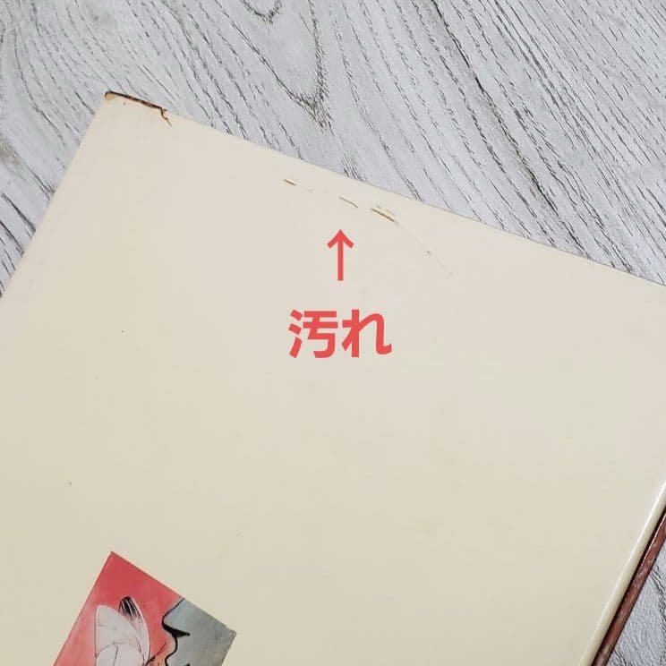 【交渉中】おひさまをはこぶちょう 絵本