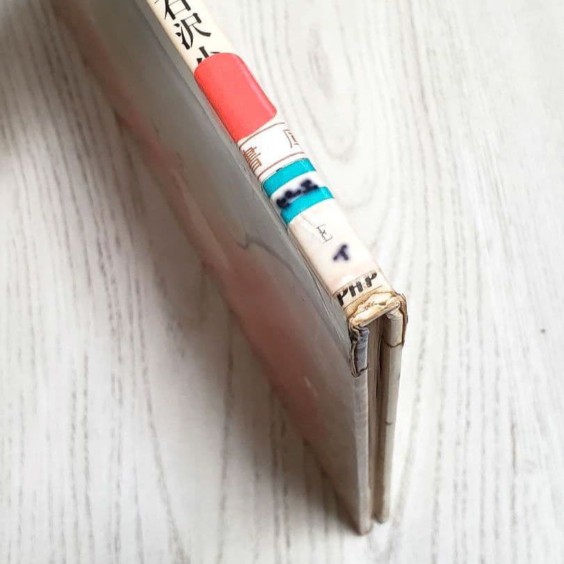 【交渉中】おひさまをはこぶちょう 絵本