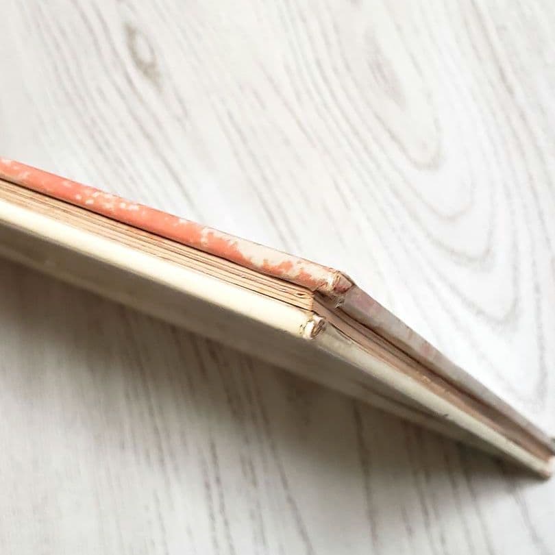 【交渉中】おひさまをはこぶちょう 絵本