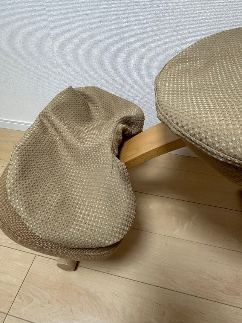 サカモトハウス バランスチェア バランスイージー リボ社