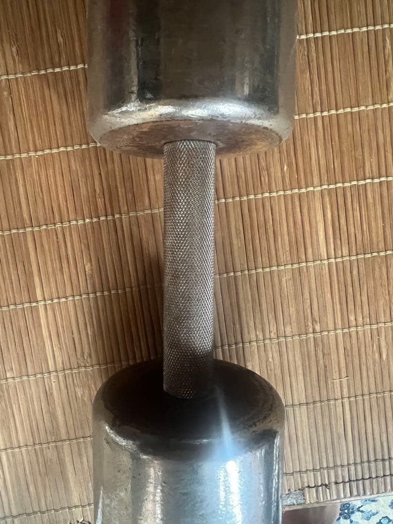 ivanko 10kg クロームダンベル 回転式