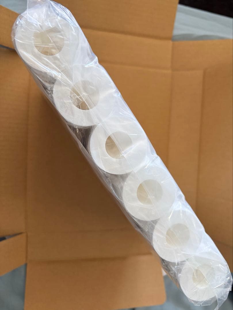 タイセイ　回帰水　フィルター　6本　新品