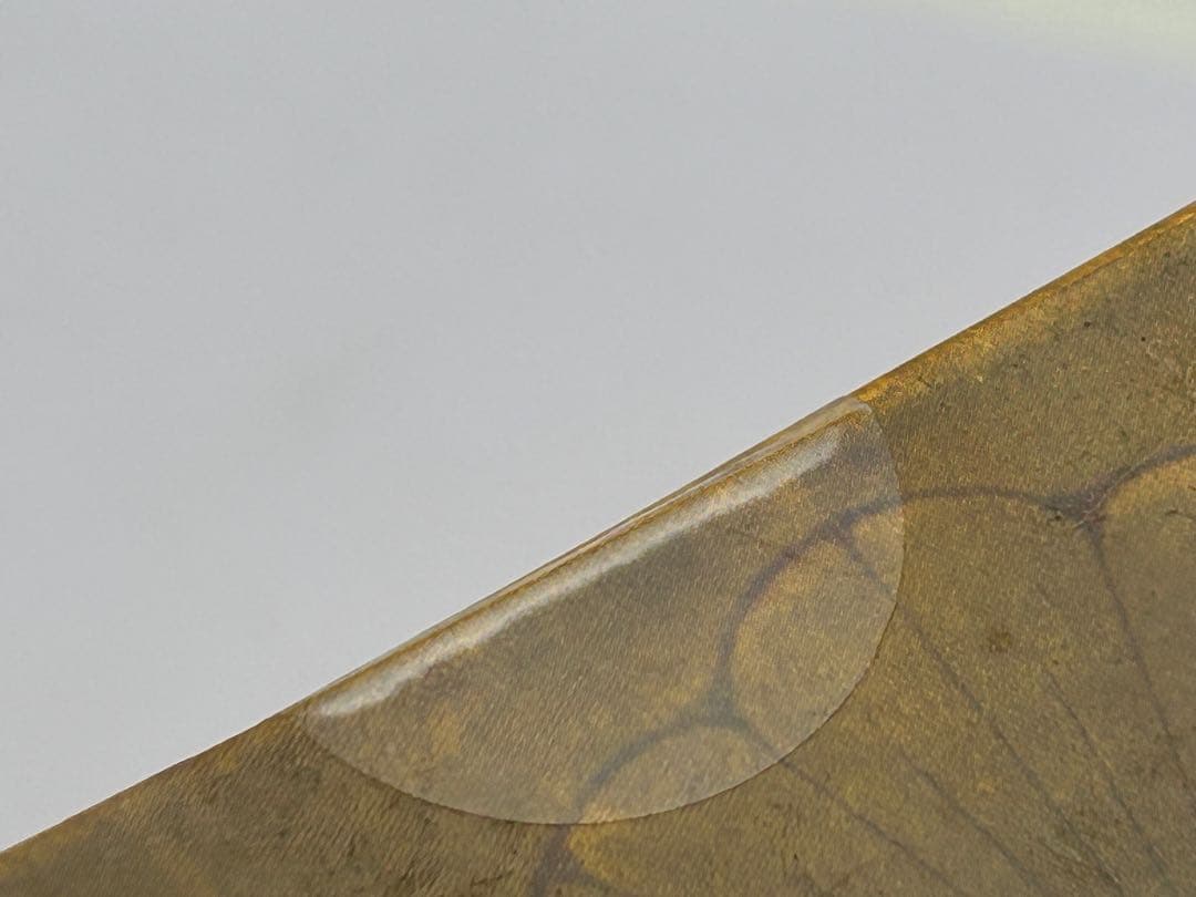 あ*ひ様 【新品】大逆転裁判2 -成歩堂龍ノ介の覺悟- 〜龍ノ介の文明開花箱〜