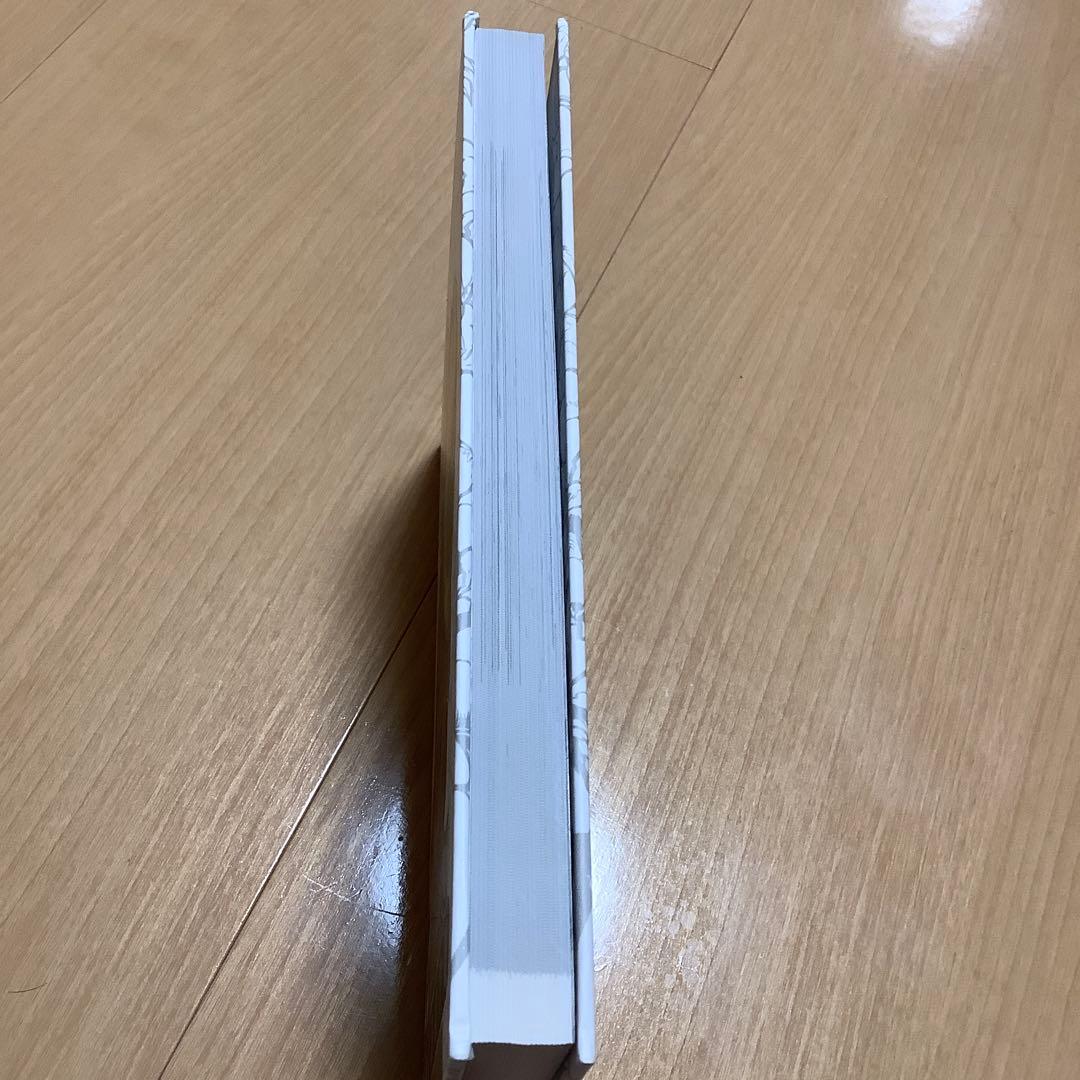 洋書 street fighter tribute