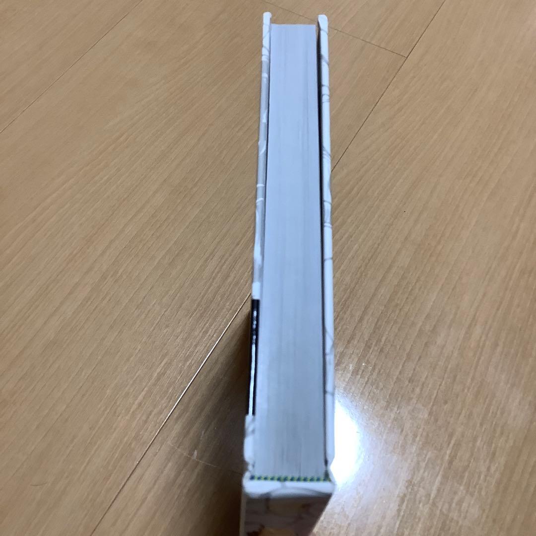 洋書 street fighter tribute