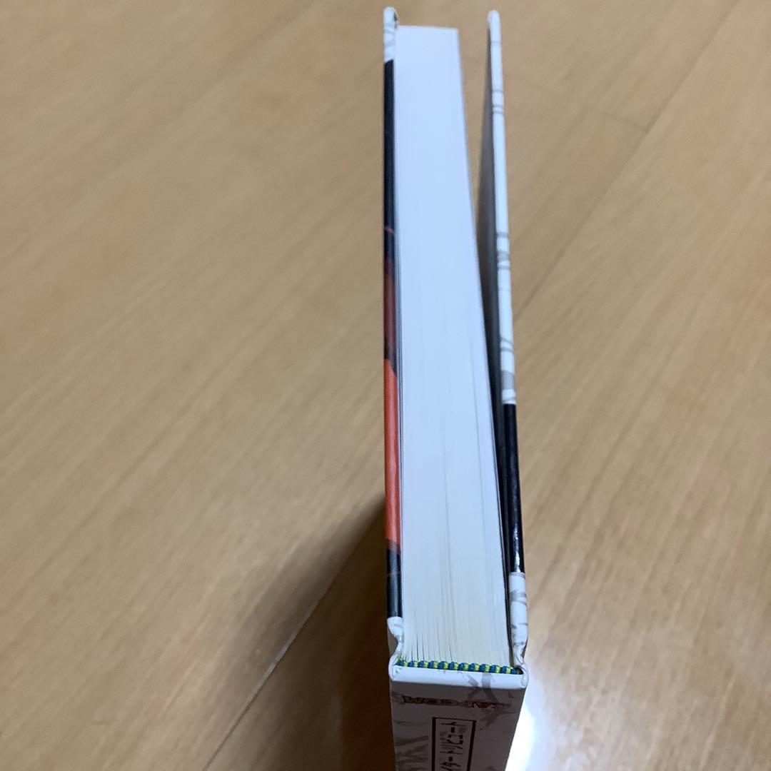 洋書 street fighter tribute