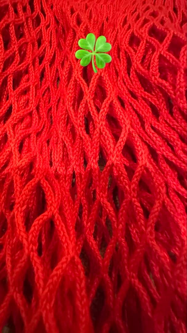 未使用 ロンシャン　ルプリアージュ