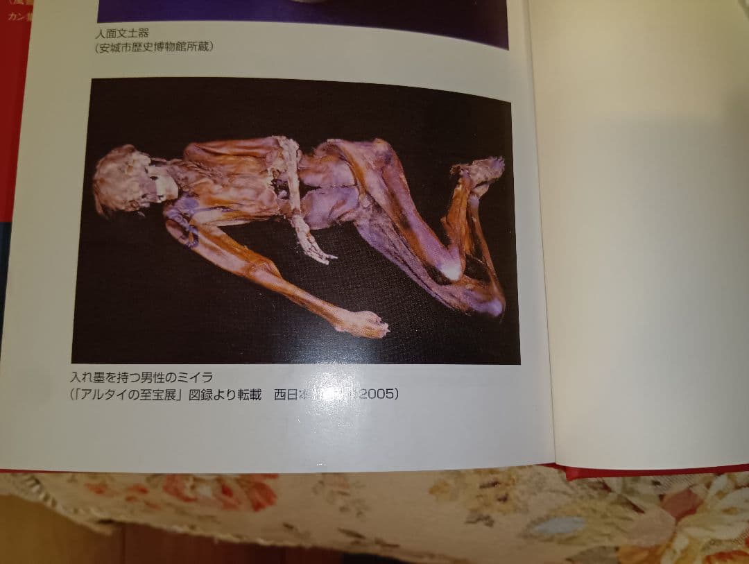 イレズミの世界 山本芳美著 入墨　タトゥー　刺青