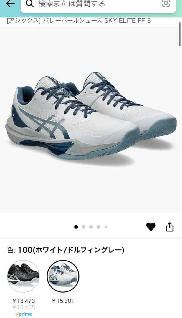 SKY ELITE FF ホワイト/ドルフィングレー 25.0