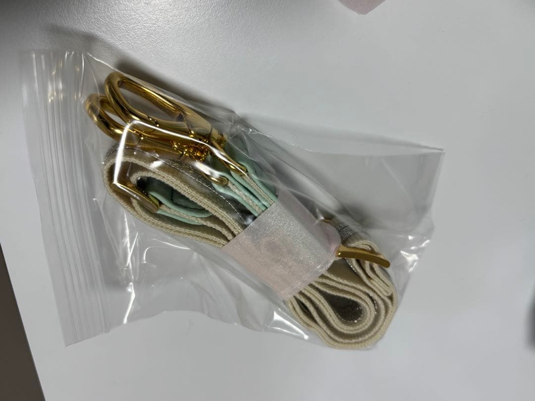 【美品】イアンヌ　オリビア　ハンドバッグ2way保存袋付き