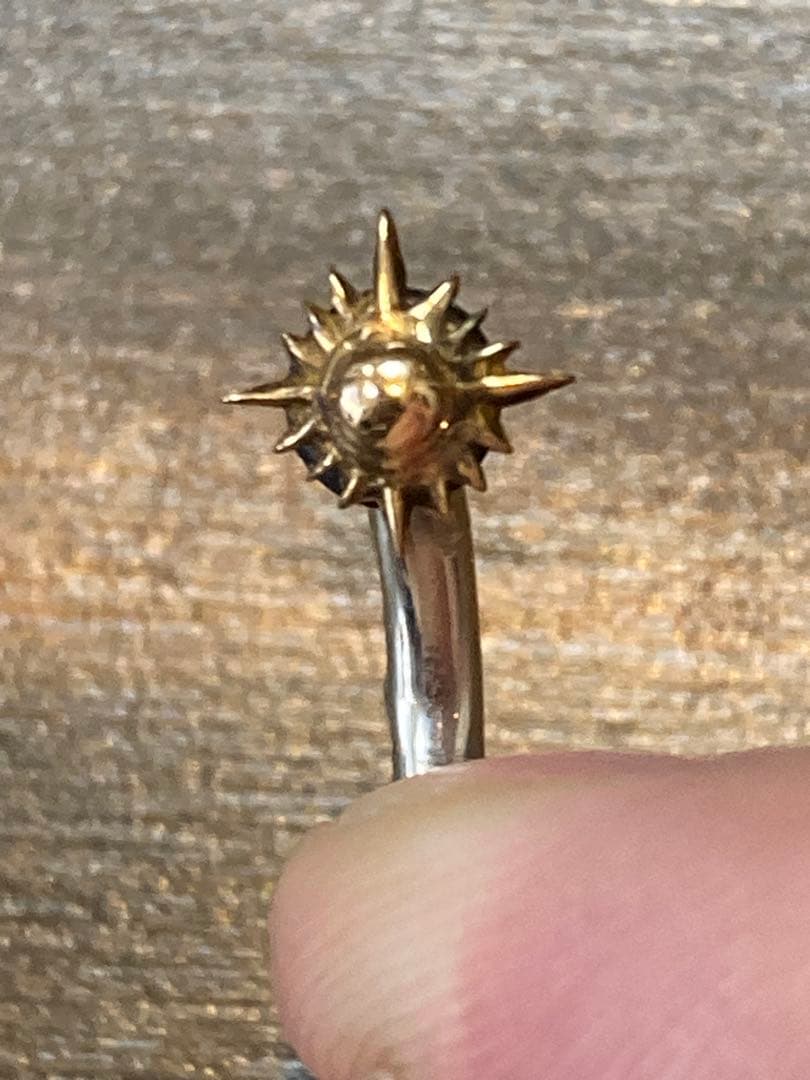 アリゾナフリーダム　ピアス 頭K18