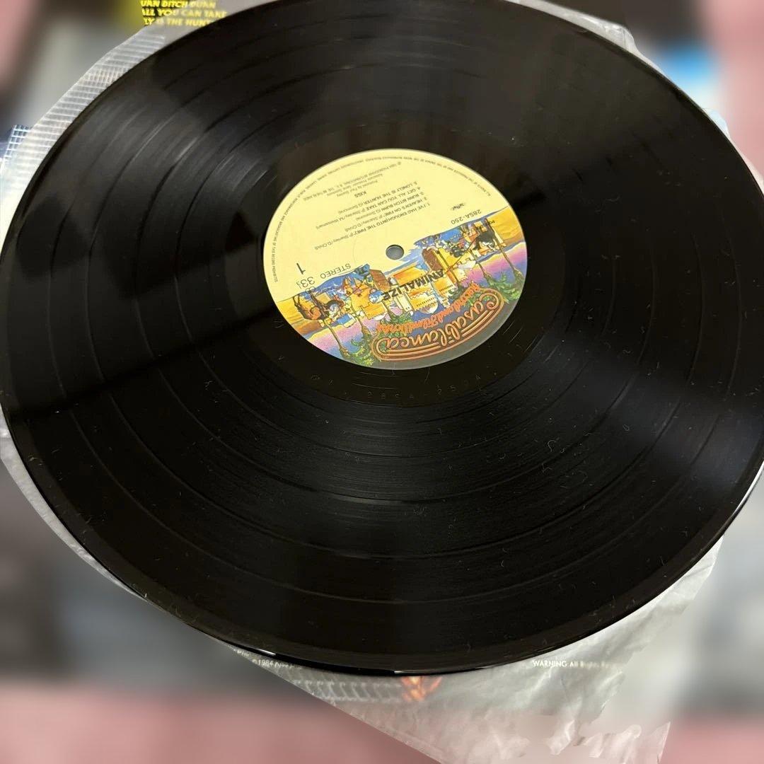 KISS ANIMALiZE キッス　アニマライズ　12インチレコード
