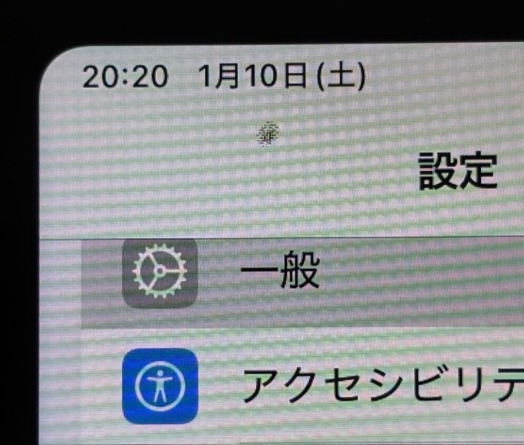 iPad Pro 11 第1世代 64GB SIMフリー