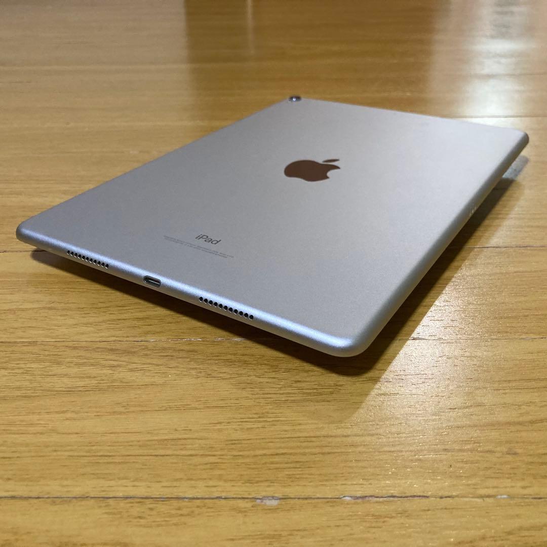 iPad Pro 10.5 256GB Wi-Fi＋cellular