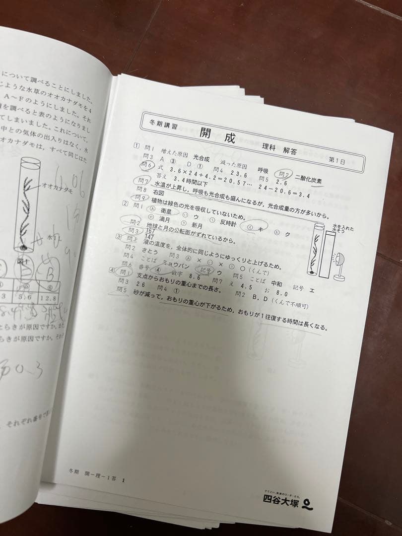 6年生開成コース四谷大塚冬講習4教科x8日分　計32