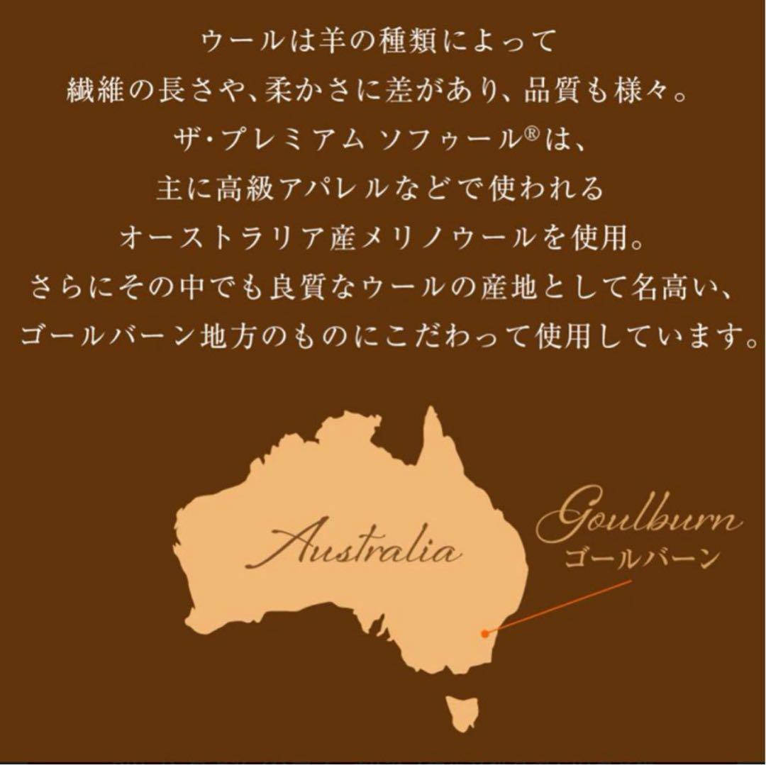 新品✨快眠博士 プレミアムソフゥール タスマニアンウール 最強敷き毛布 シングル