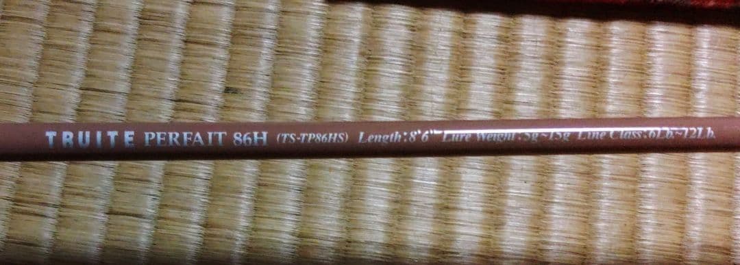 サ*ウ様 Saurusザウルス Truite Perfait TS-TP86HS