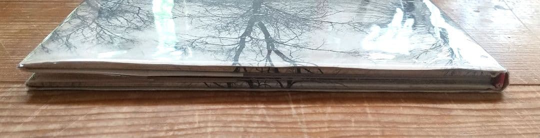 Hellen Buttfield【The Park】写真集★tamiserタミゼ