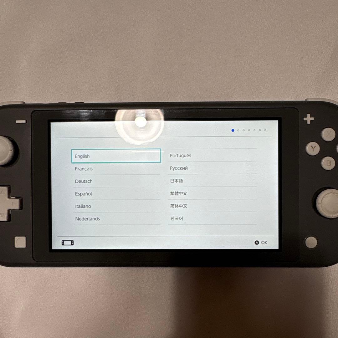 任天堂　Switch Light グレー　本体