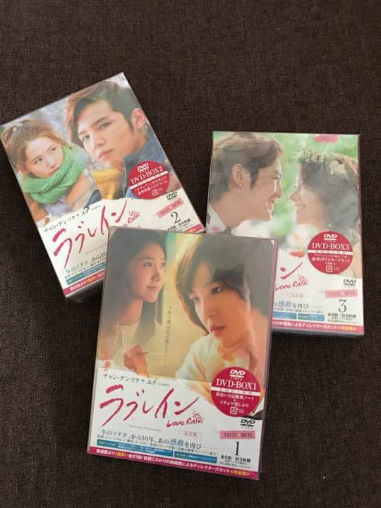 チャン・グンソク ラブレインDVDセット