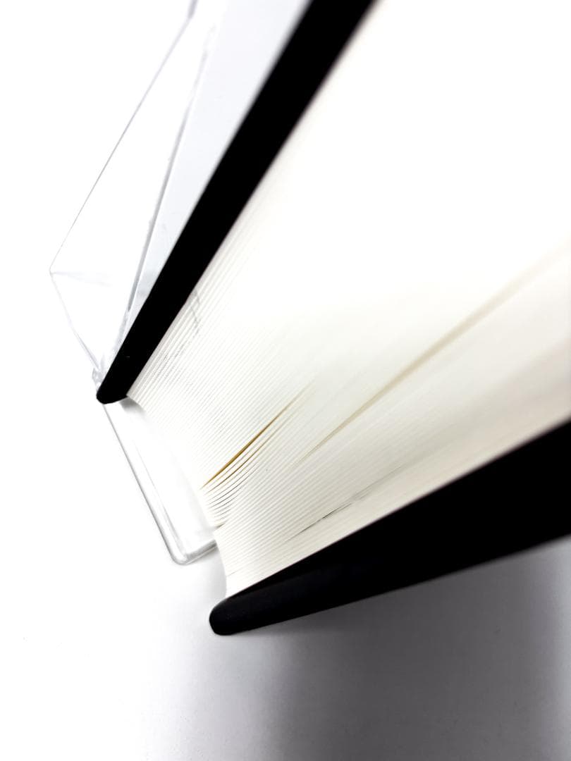 Pier Paolo Pasolini パゾリ－ニ　四方田犬彦