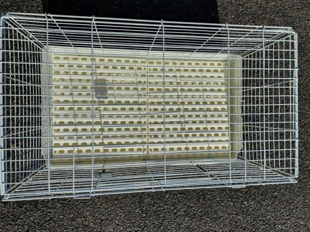 三晃商会　SANKO ケージ イージーホームエボ80　ウサギケージ　小動物ケージ